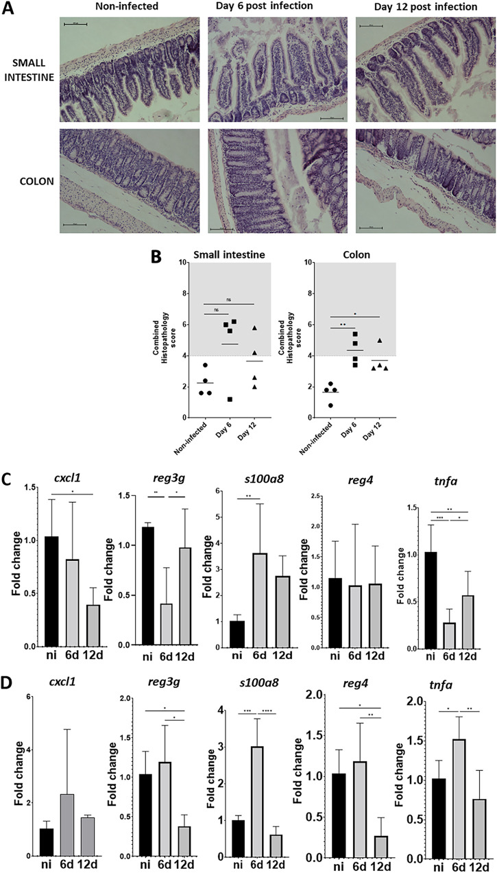 FIG 3