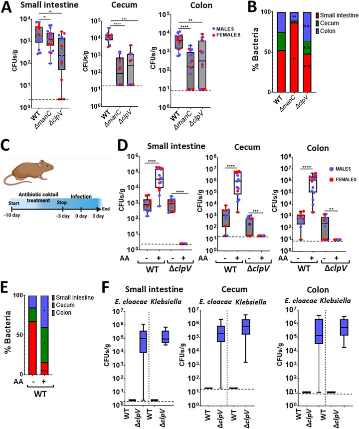 FIG 6