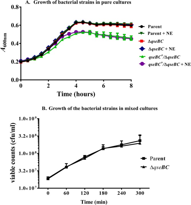 FIG 2