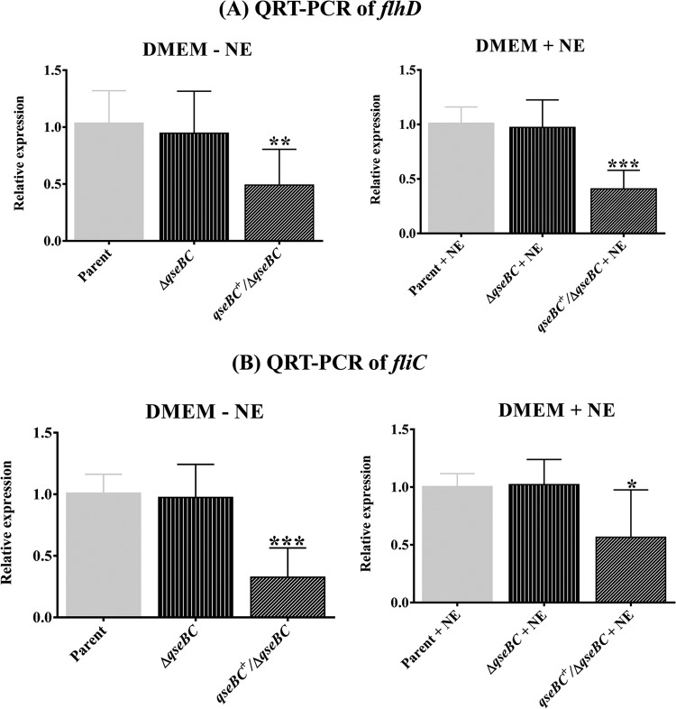 FIG 4