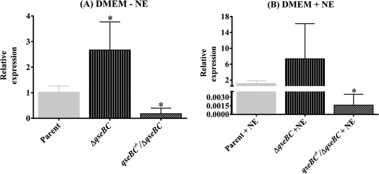 FIG 6