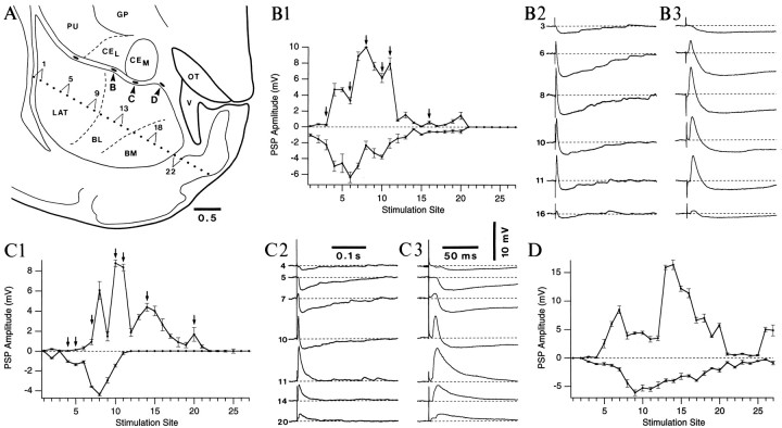 Fig. 4.