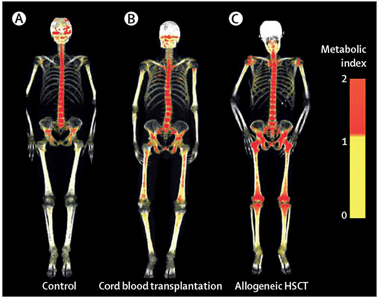 Figure 3: