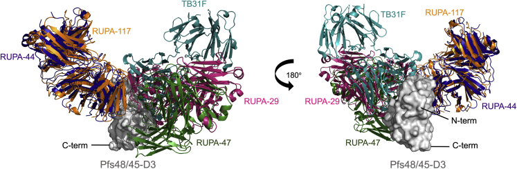 Figure 6