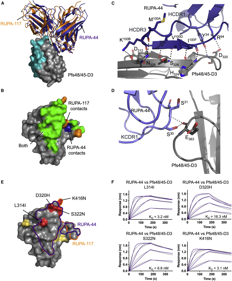 Figure 5