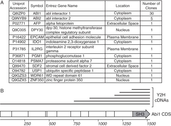 FIG 1