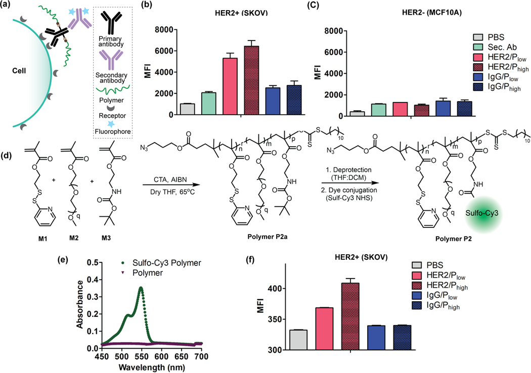 Figure 3: