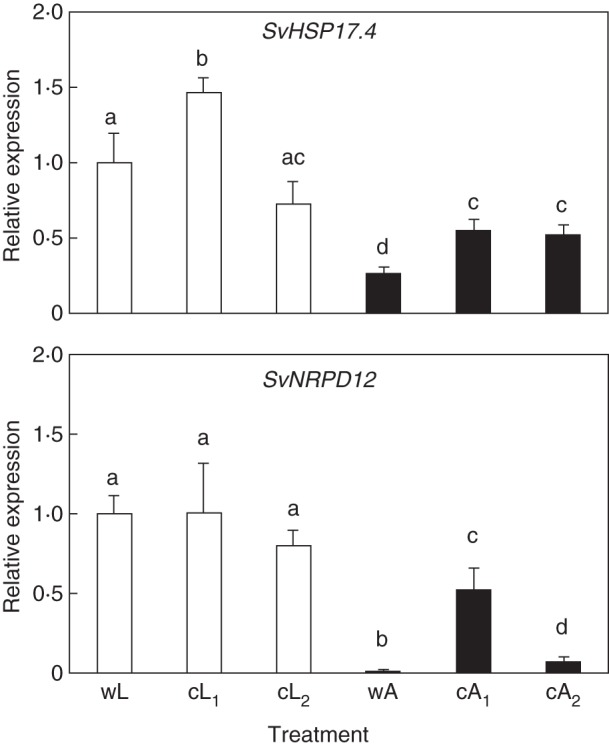 Fig. 4.