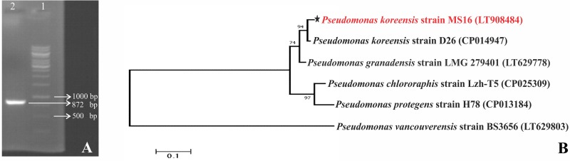 Fig 6