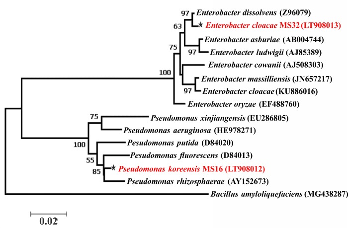 Fig 2