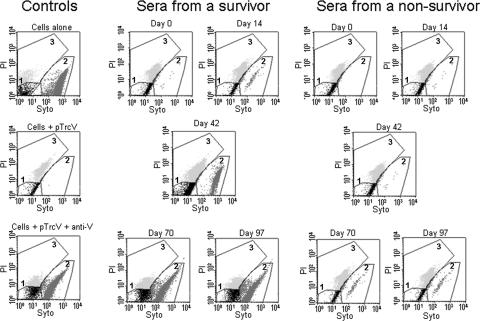 FIG. 2.