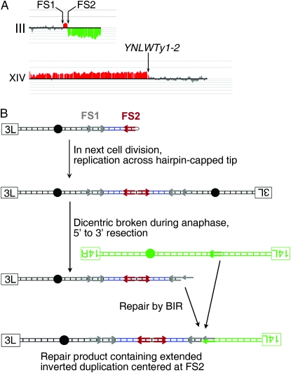 Figure 6.—