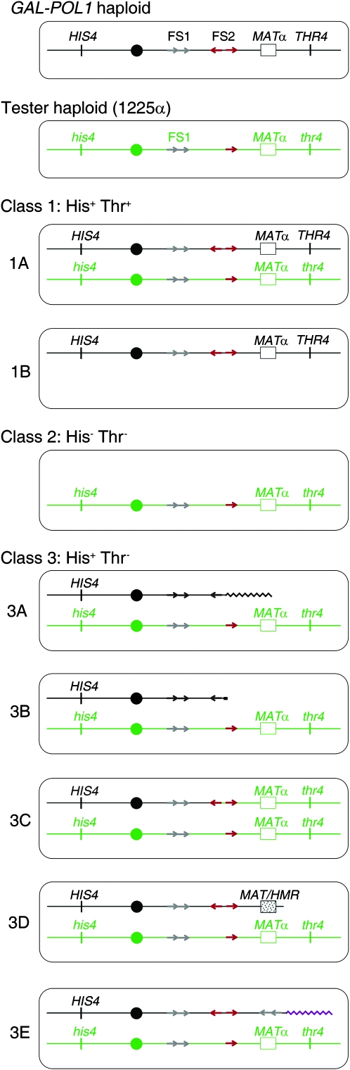 Figure 2.—