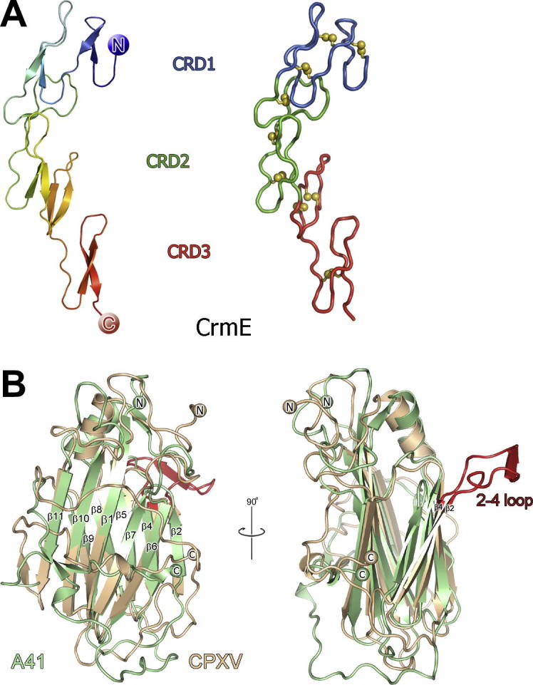 Fig.2