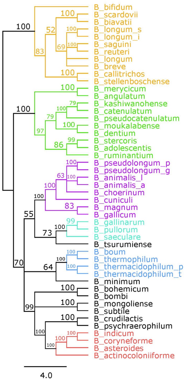 FIGURE 2