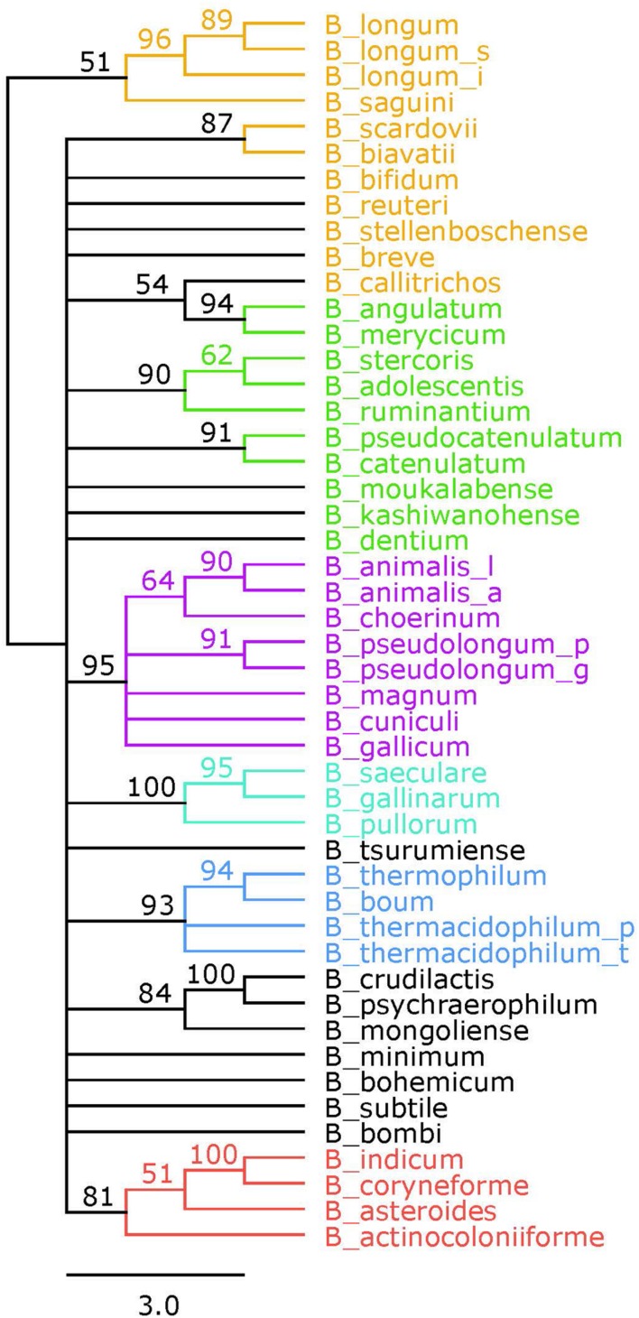 FIGURE 3