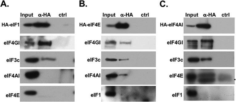 FIG 1