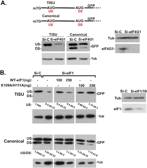 FIG 3