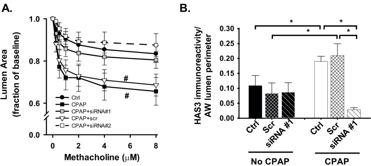 Figure 6: