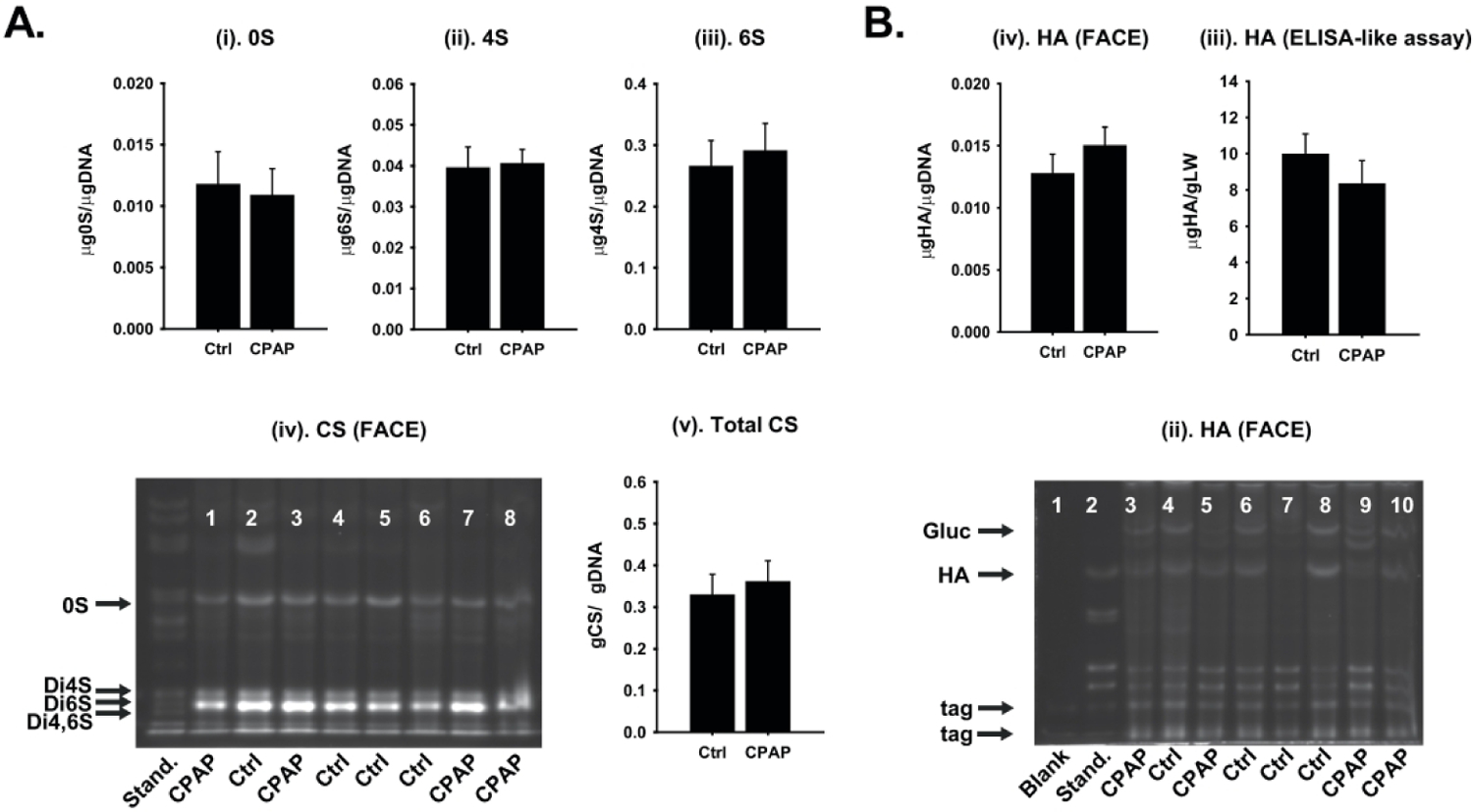 Figure 5: