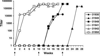 FIG. 5.