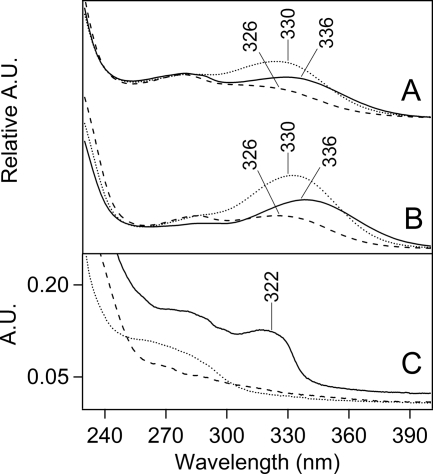 FIGURE 3.