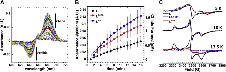 Figure 3