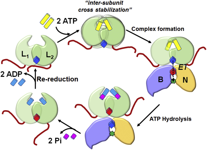 Figure 7