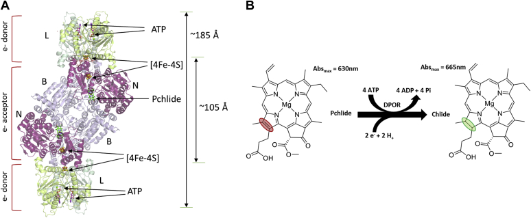 Figure 1