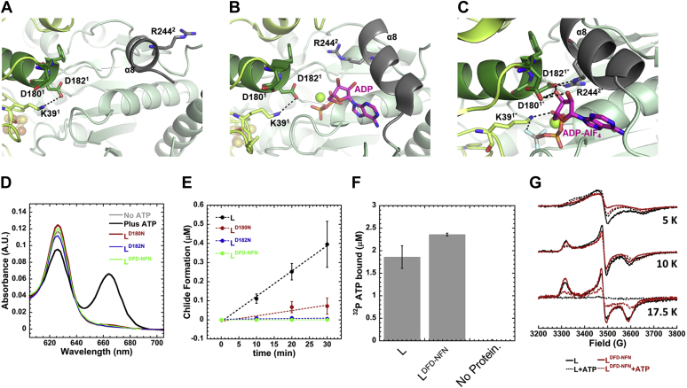 Figure 5