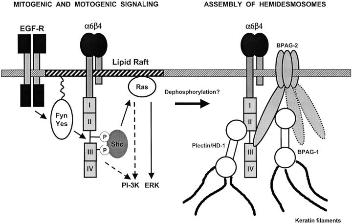 Figure 9.