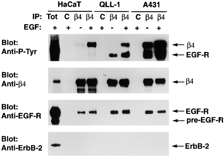 Figure. 1.