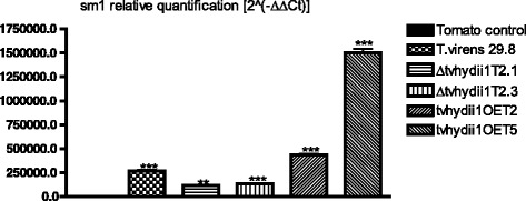 Fig. 8