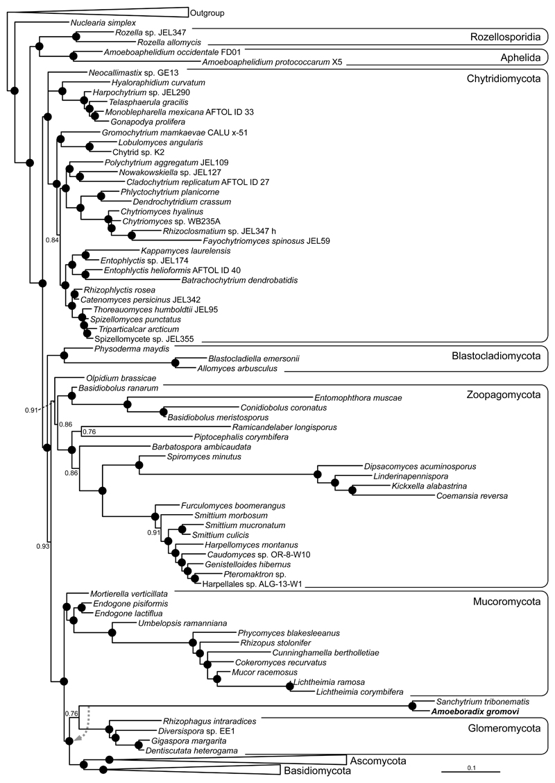 Fig. 9