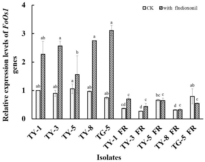 Figure 4