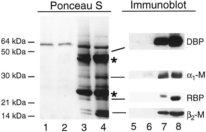 Figure 10.