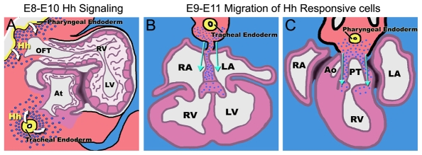 Fig. 9.