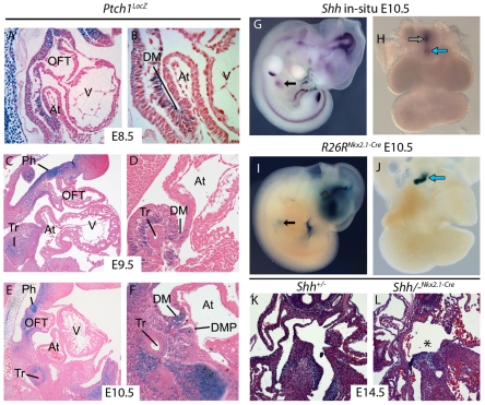 Fig. 8.