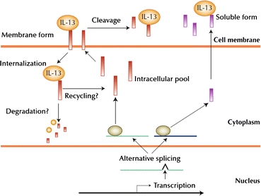 Figure 7