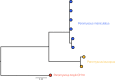 FIG 8