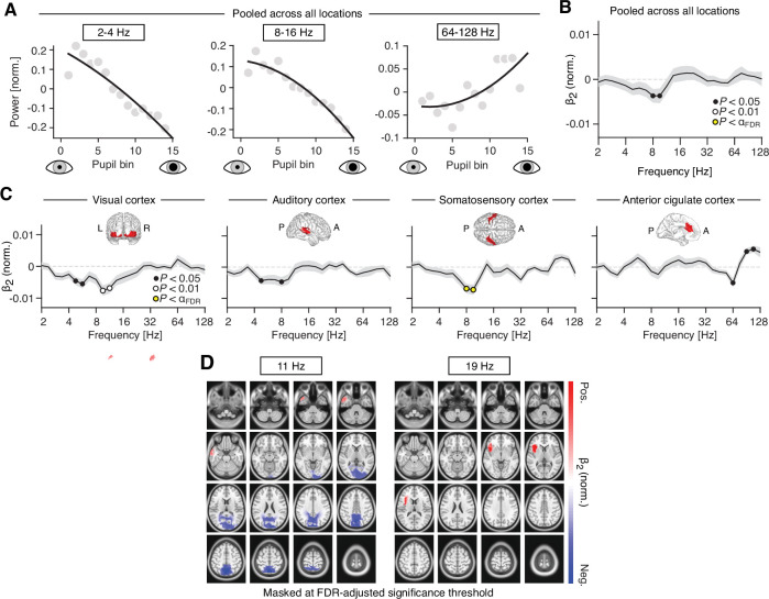 Figure 5—figure supplement 1.