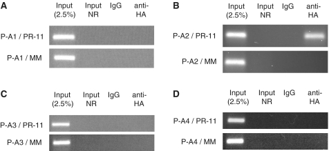 Figure 7.