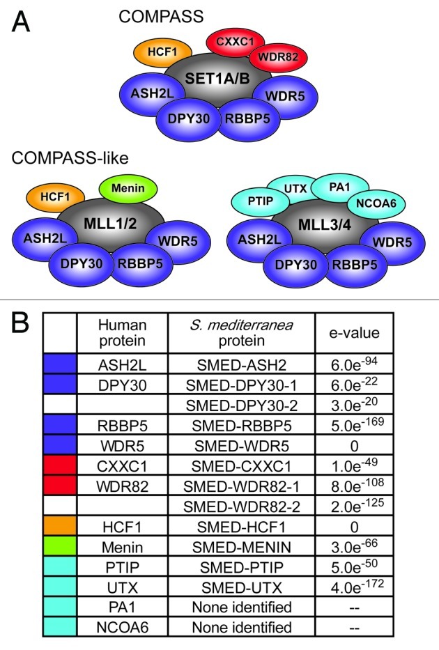 graphic file with name epi-8-79-g6.jpg