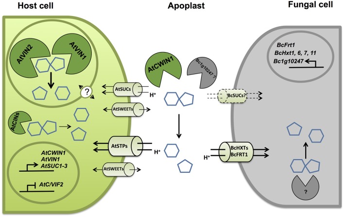 Figure 10