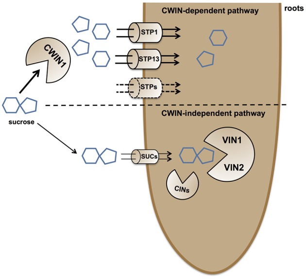 Figure 9