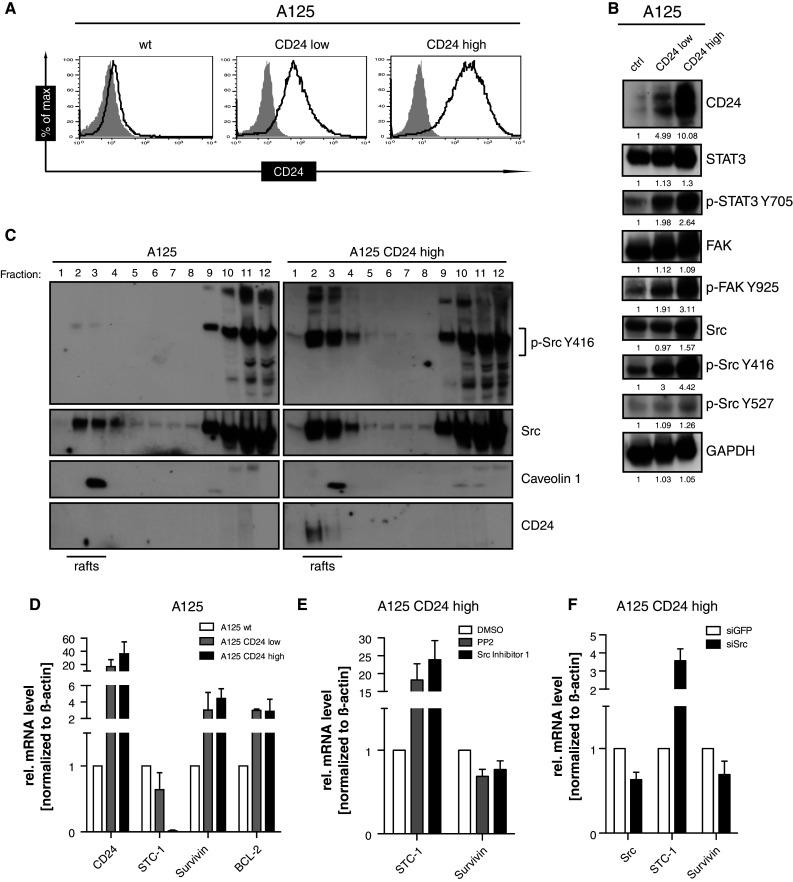 Fig. 6