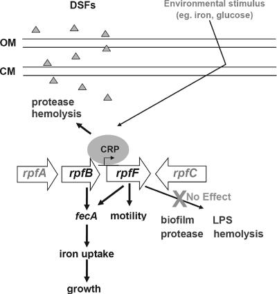 FIG. 6.