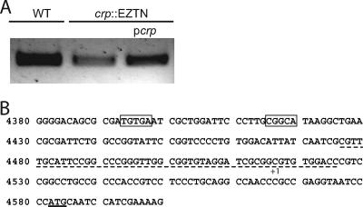 FIG. 5.