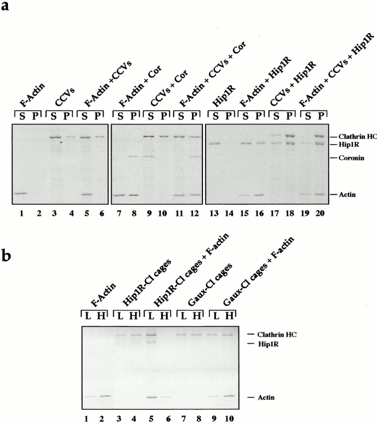 Figure 9.