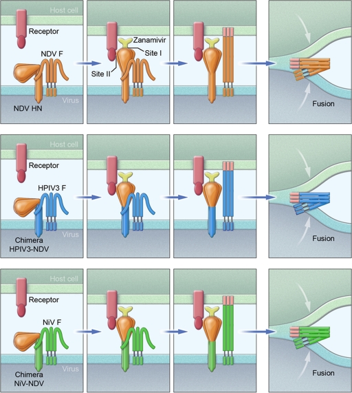 Fig 11